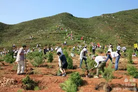 “植树节”手抄报绘画展—刘志丹红军小学二年级（5）班图片