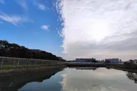 罕见奇观！图片