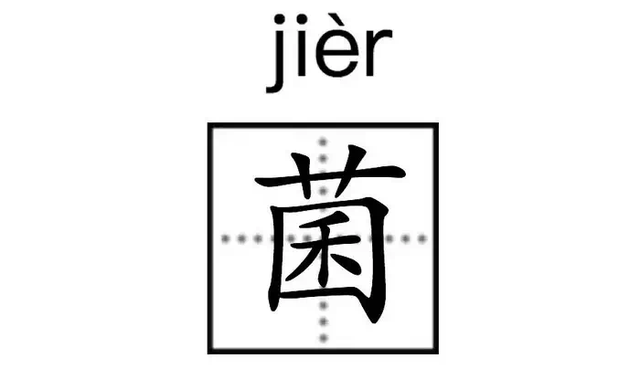 吃蘑菇起鸡皮疙瘩