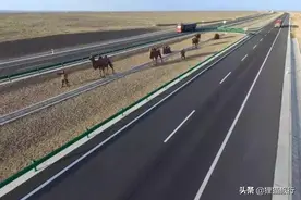 G7京新高速公路，一路向西穿越无人区图片