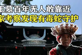 苗族首领古墓问世，百年无人敢靠近，专家现场考察发现有毒蛇守护图片