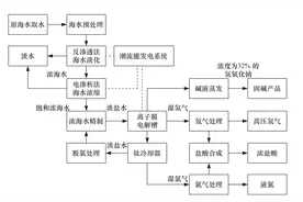 基于海洋能的海水资源综合利用研究图片