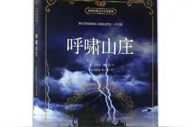 战胜死亡之爱‖《呼啸山庄》，爱的升华与成全图片