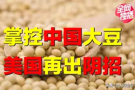 美国大骗局来袭，素食要小心！为掌控中国大豆，美国再出阴招？图片