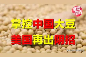 美国大骗局来袭，素食要小心！为掌控中国大豆，美国再出阴招？图片