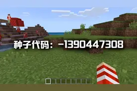 我的世界中不敢说最稀有，但是资源很丰富，值得收藏的3个种子图片