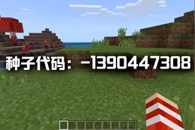 我的世界中不敢说最稀有，但是资源很丰富，值得收藏的3个种子图片