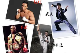 搏击、武术、散打、跆拳道，孩子应该学哪个？图片