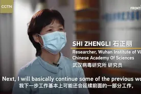 武汉病毒所专家石正丽：新冠病毒只是冰山一角，不研究还会有下一次图片