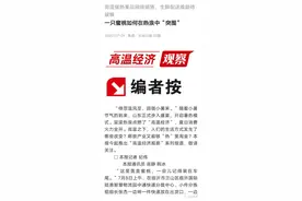 一只蜜桃如何在热浪中“突围”图片