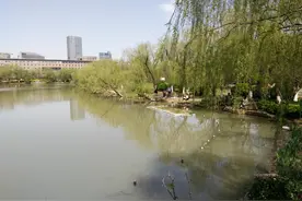 天气晴朗  万里无云  苍梧绿园内花儿是这样的红图片