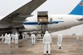 我国养猪史近万年，却每年进口万头洋种猪？中华土猪已濒临灭绝？图片