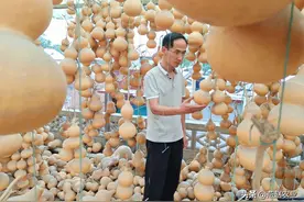大学生返乡做“葫芦娃”村官，靠种小葫芦，做出大财富图片
