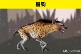 拥有强大咬合力的10种动物图片