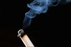 艾灸伏兔穴，散寒化湿，缓痉止痛图片