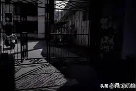 这6张错误的照片，道出了摄影的精髓：千错万错，主体不能错图片
