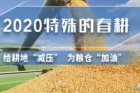 稳住大粮仓，保护黑土地，不让种粮农民吃亏！图片