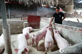 杜江：身残志坚铺就脱贫致富路图片