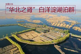 白洋淀是华北平原上最大的天然大型平原洼淀，被誉为“华北之肾”图片