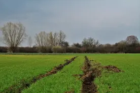 我国田园综合体发展概述图片