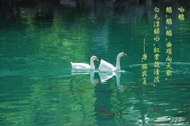 湖南农民老汉模仿《咏鹅》写了首《咏鸡》，短短18字却获万元大奖图片