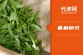 超50万中国人数据显示，喝茶可降低2型糖尿病风险，绿茶更佳图片