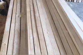 7种建筑木方材质，您知道几个？图片