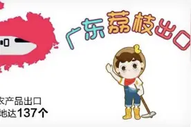 广东荔枝出口逆势突围再冲刺图片