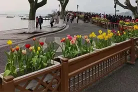 杭州最宜居的几个地段，你的家在这里吗图片