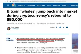 比特币巨鲸，在买入！3万美元的BTC，可能再也看不到了图片