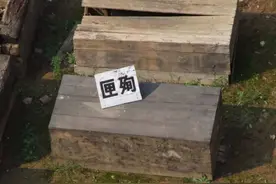 揭秘秦公一号大墓，墓中的殉葬者是如何集体死亡的？看完细思极恐图片