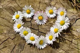 女人爱上你后，会出现这些“肢体语言”图片