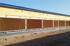 新思维养殖：夏季鸡舍降温方法实用操作手册图片