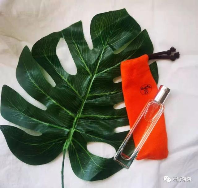 NOME身体乳哪个味道好闻