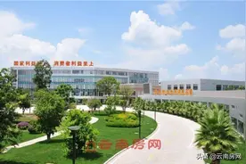 10年下降27万，谁抢走了楚雄的人口？楚雄房价看来就这样了图片