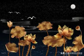 枯荷不死！图片
