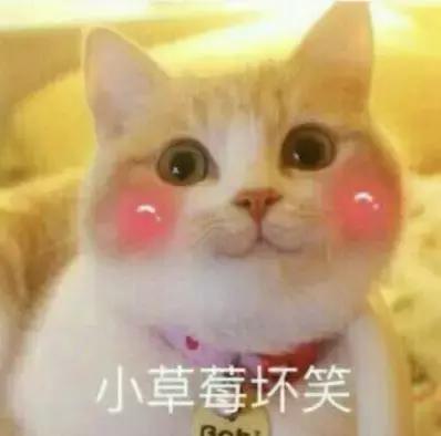 身体乳有抑菌作用 身体乳有抑菌作用