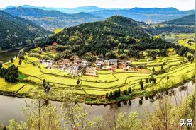 【云赏花】莫道春归无觅处，花漫双东始逢春图片