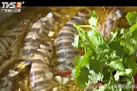 新鲜的野生花虾，湛江大厨教你最原汁原味的吃法，白灼都是浪费视频封面