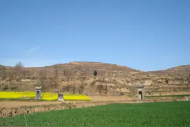 金门川德里张氏始祖墓碑图片