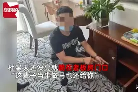 司机赌博六小时输光100万，事后向老板下跪乞求原谅图片