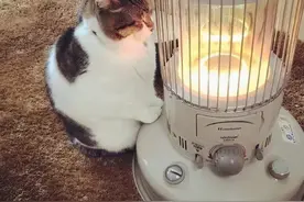 最低-9℃！扬州最冷的日子要来了图片