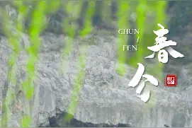 今日春分·花开龙门图片