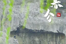 今日春分·花开龙门图片