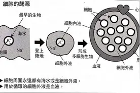 带领大家探索人体生理学——人体的水分图片