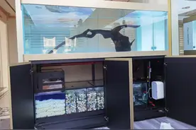 新买的鱼缸到家如何处理图片