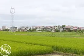 鹰潭：男子花十多万彩礼娶亲，几个月后新娘跑了图片