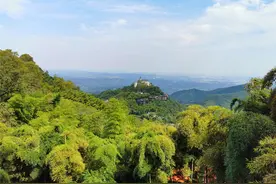 江浙沪度假胜地，在莫干山寻觅山川之恋，感受诗意慢生活图片