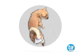 女子出门偶遇一只狗狗，瞥一眼发现哪里不对，细看后有点心疼了图片