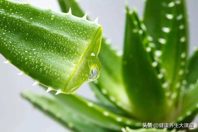 长期抹芦荟胶对脸好吗？长期抹芦荟胶对脸有影响吗？
